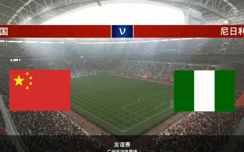 中国vs尼日利亚结果怎样