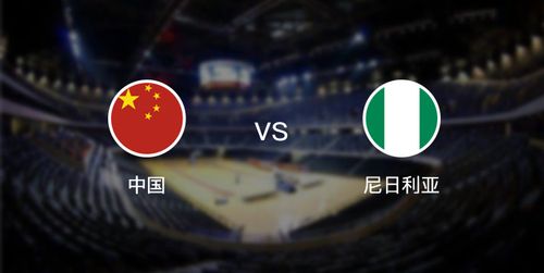 中国vs尼日利亚2013
