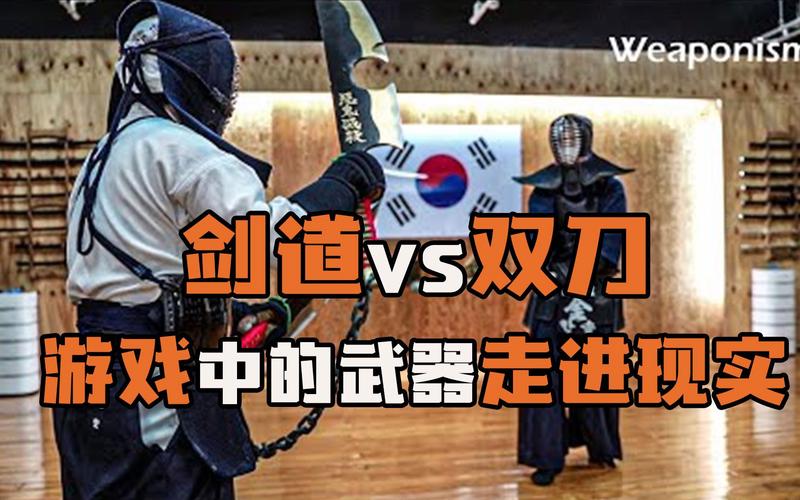 日本剑道vs中国双刀视频