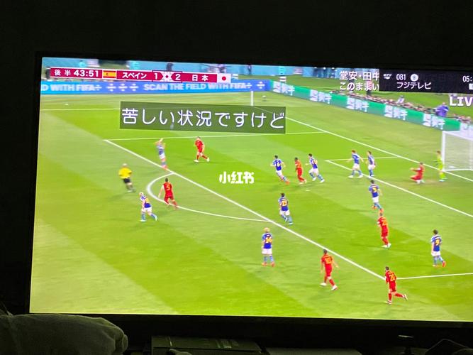 日本队vs西班牙游戏比分