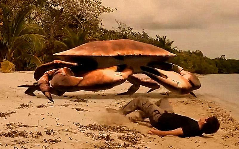 中国巨型螃蟹vs美国巨型螃蟹的相关图片