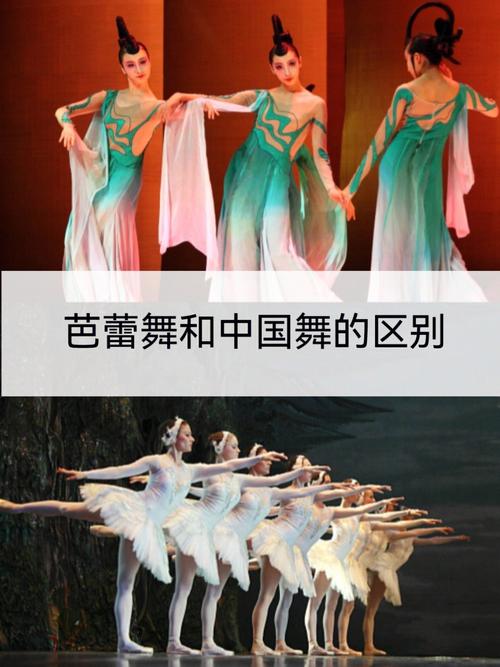 芭蕾vs中国舞对比图表的相关图片